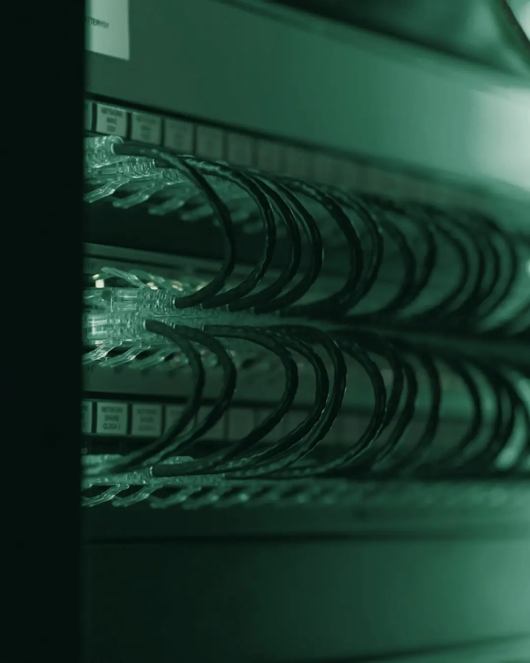 Cavi di rete in un armadio rack di server, illuminati di verde
